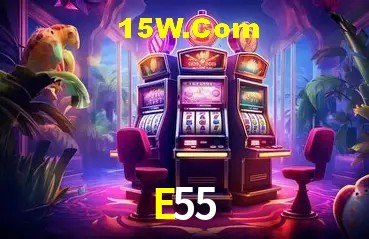 Login Seguro E55