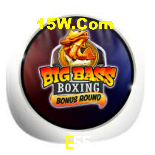 E55