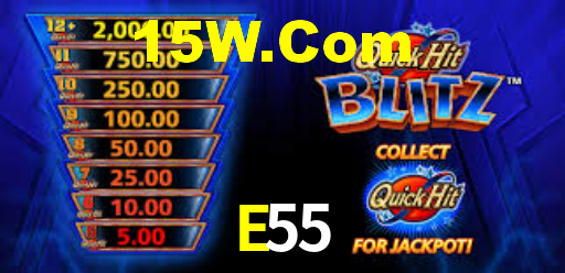 E55