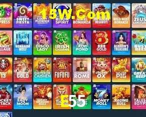 Recursos de Bônus E55