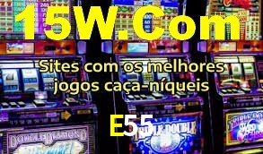 Premium Interface E55