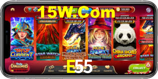 E55,e55.com