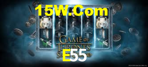 E55